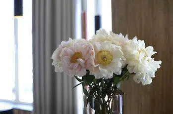 Hotel Marcel Brugia 3*,